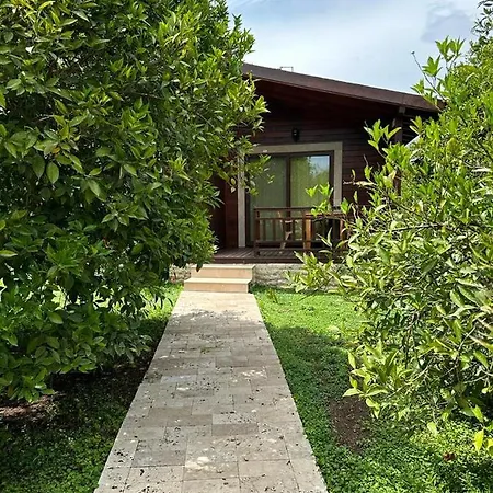 2 Villa