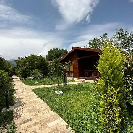 Villa 2 *