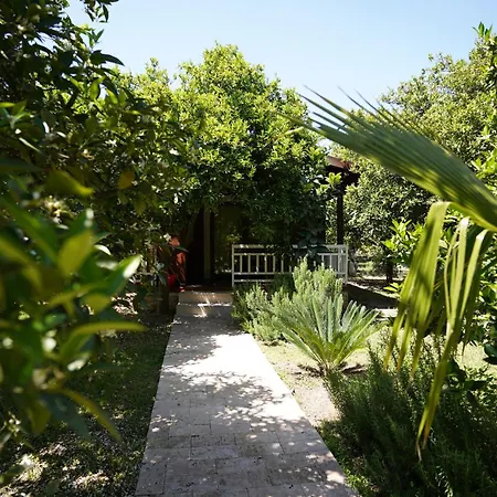 2 Villa