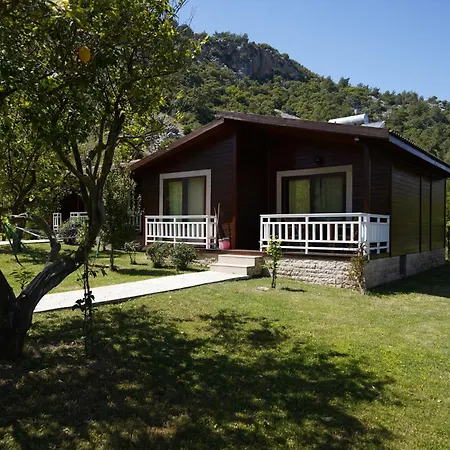 2 Villa *